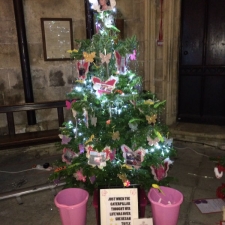 Beverley Minster Christmas Tree Festival 2015